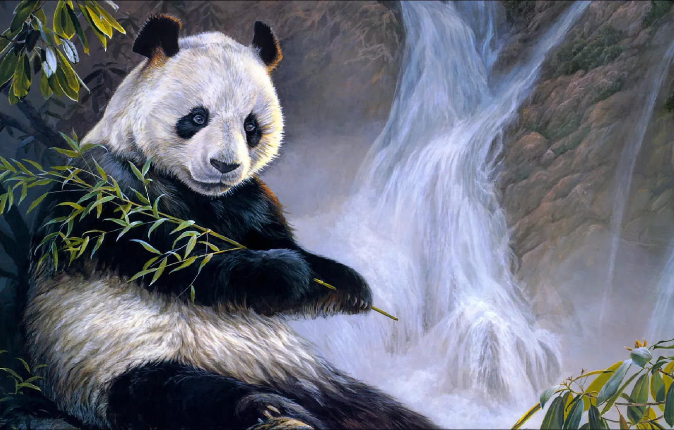 Фото обои медведь, панда, живопись, bear, waterfall, panda, Paiting