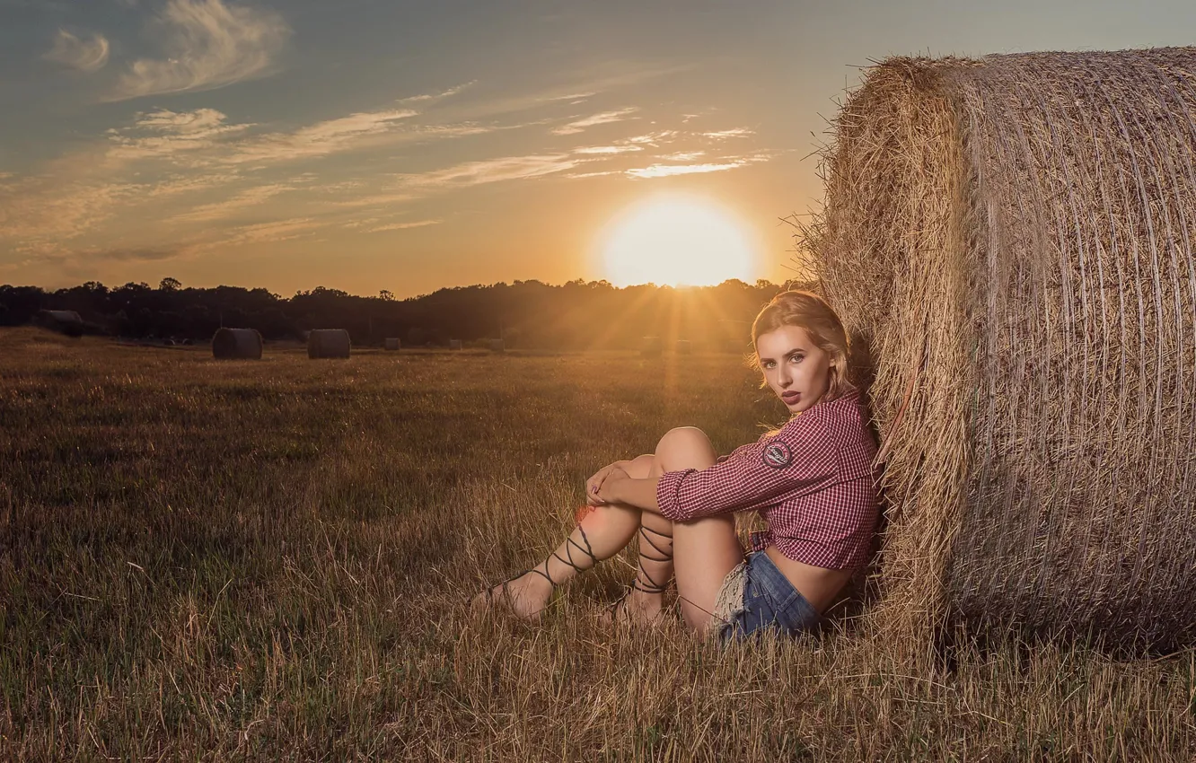 Фото обои лето, девушка, солнце, шорты, сено, golden hour, Andrea Carretta