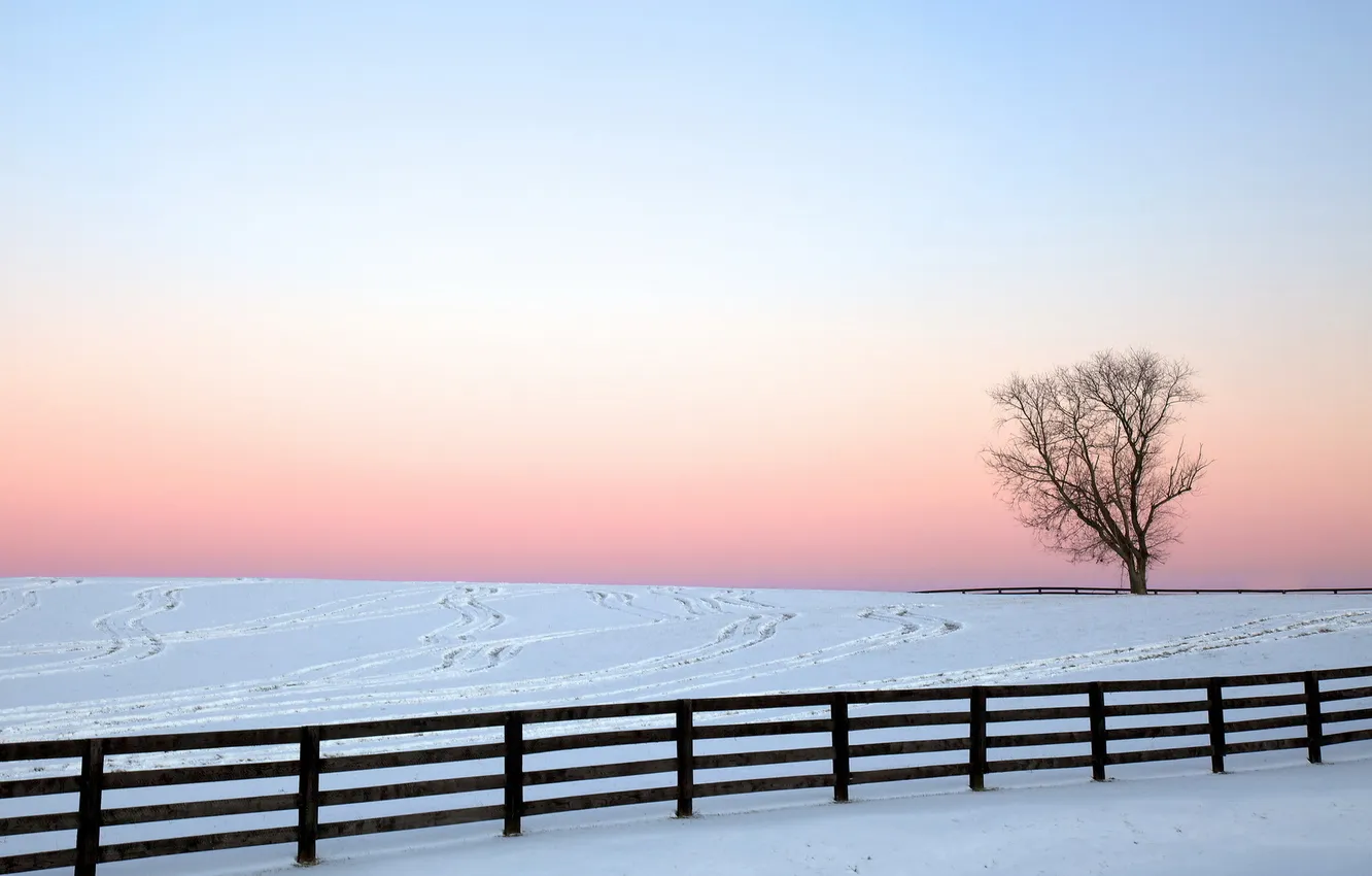 Фото обои зима, поле, пейзаж, забор