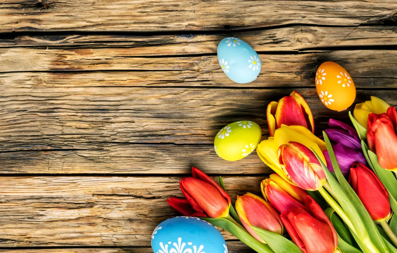 Фото обои colorful, Пасха, тюльпаны, happy, wood, flowers, tulips, spring