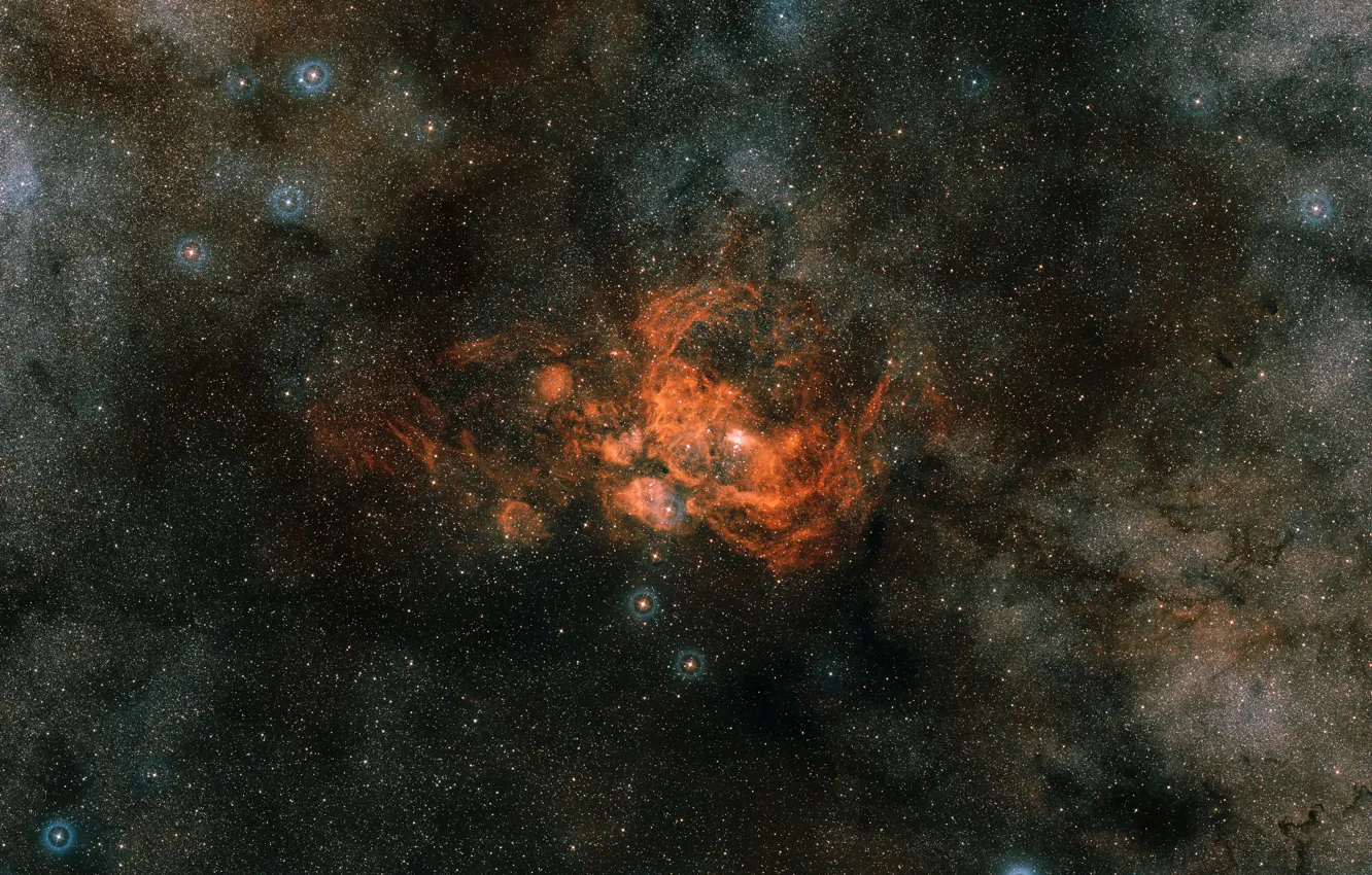 Фото обои Скорпион, созвездие, NGC 6357, эмиссионная туманность, Pismis 24