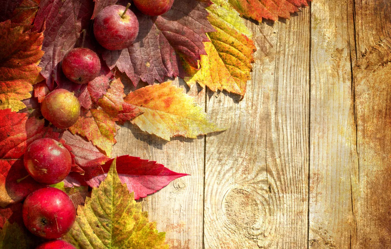 Фото обои осень, green, яблоки, доски, зеленые, красные, red, листики
