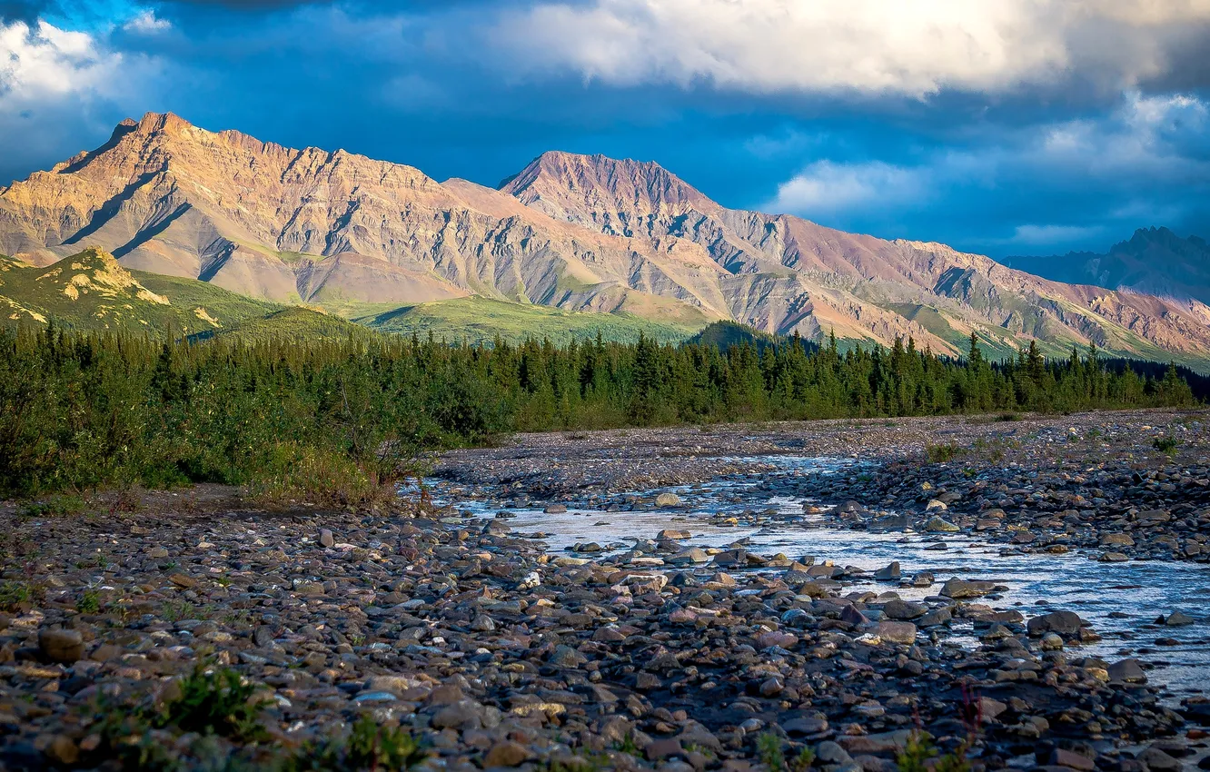 Фото обои река, Аляска, США, предгорье, Teklanika, Денали Парк
