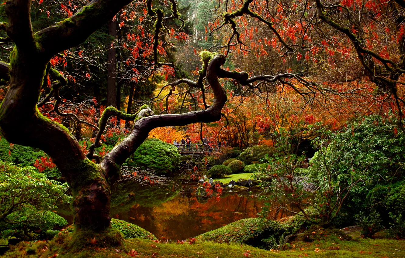 Фото обои осень, мост, природа, парк, люди, сад, японский