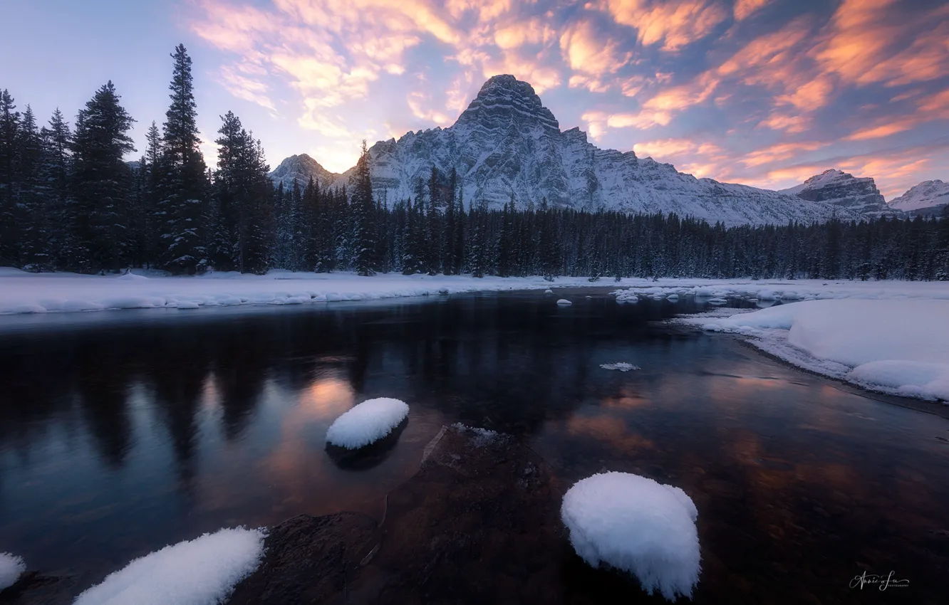 Фото обои зима, лес, небо, снег, закат, горы, река