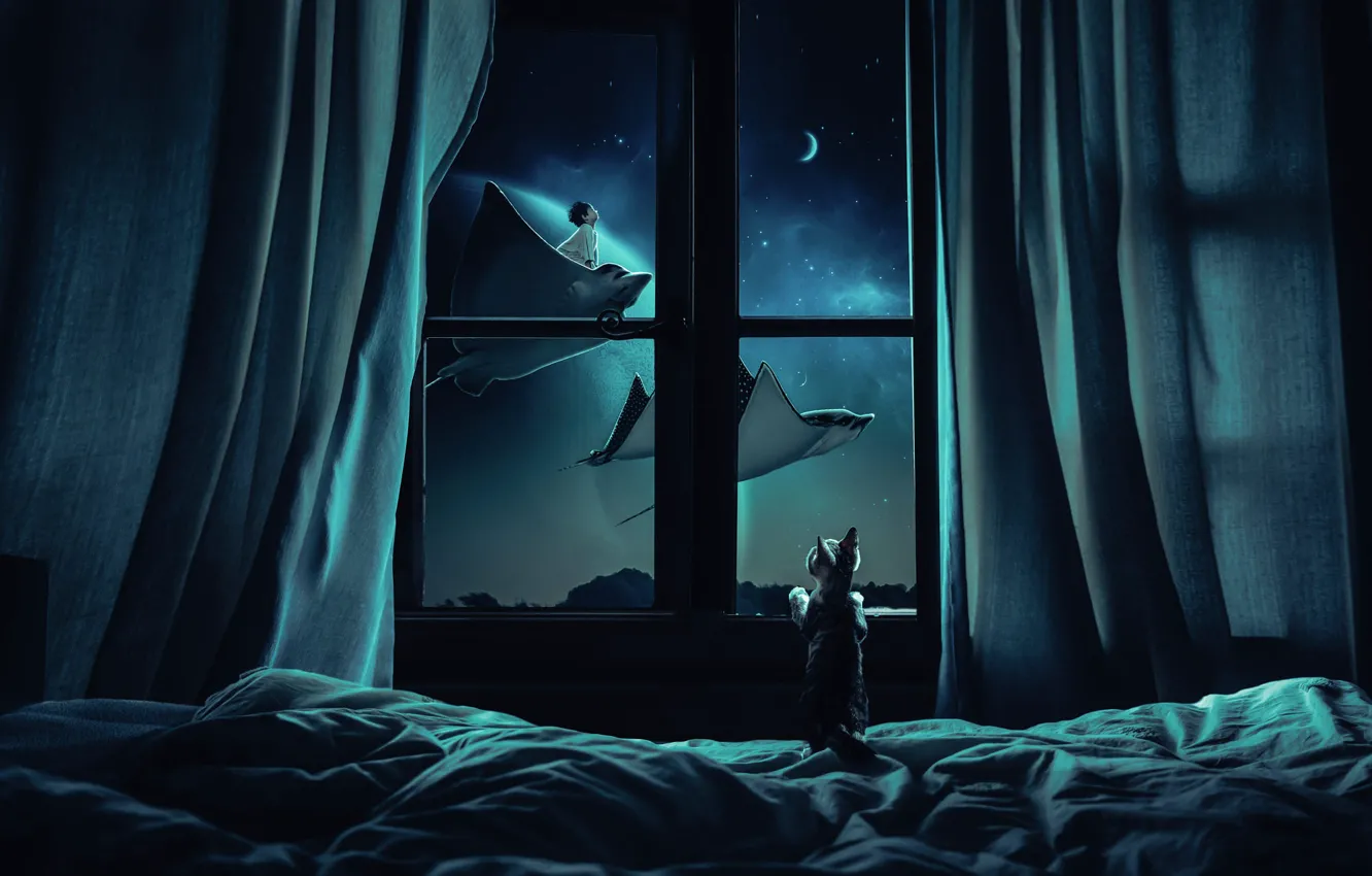 Фото обои кошка, мечта, стекло, космос, звезды, свет, рыбы, полет
