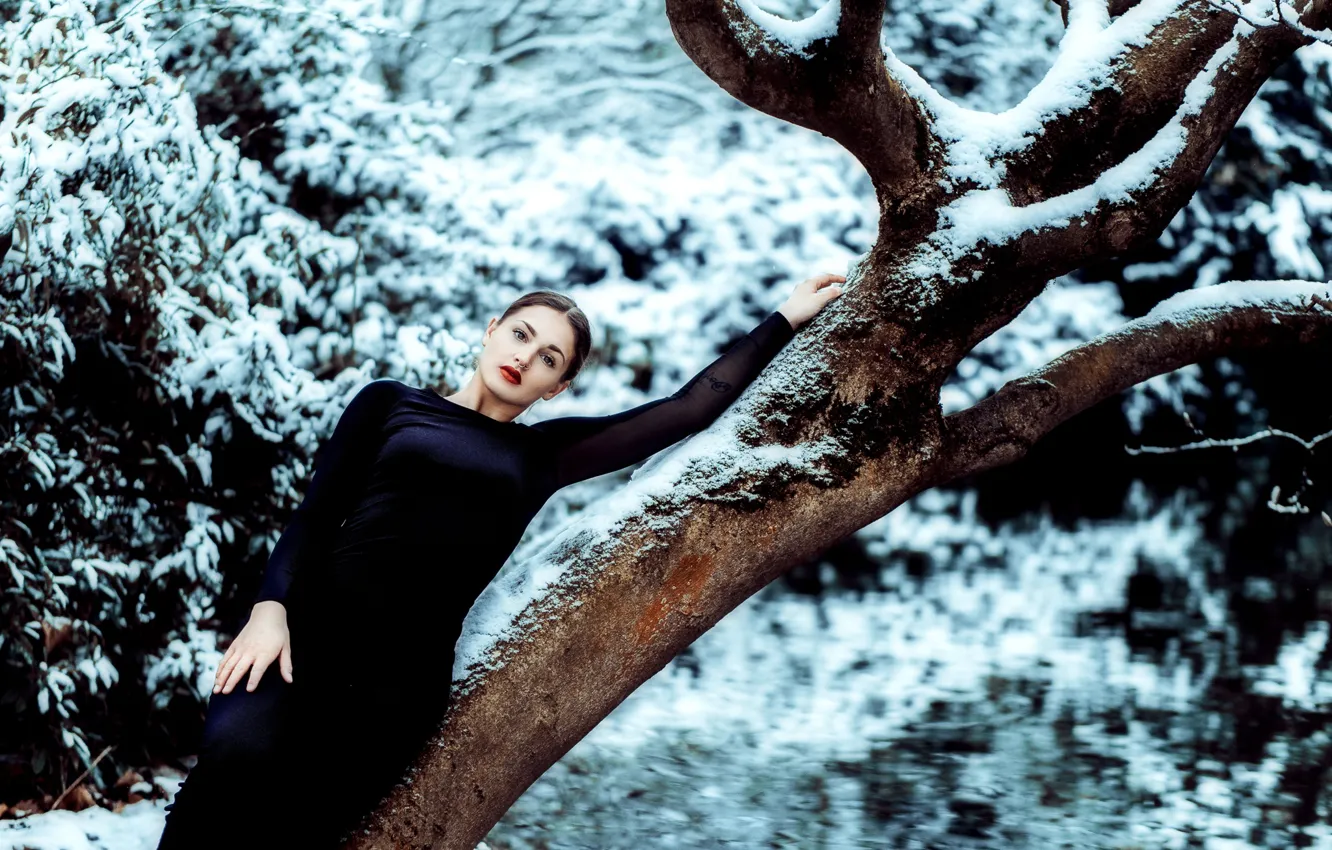 Фото обои зима, девушка, поза, дерево, настроение, фигура, платье, Andreas-Joachim Lins