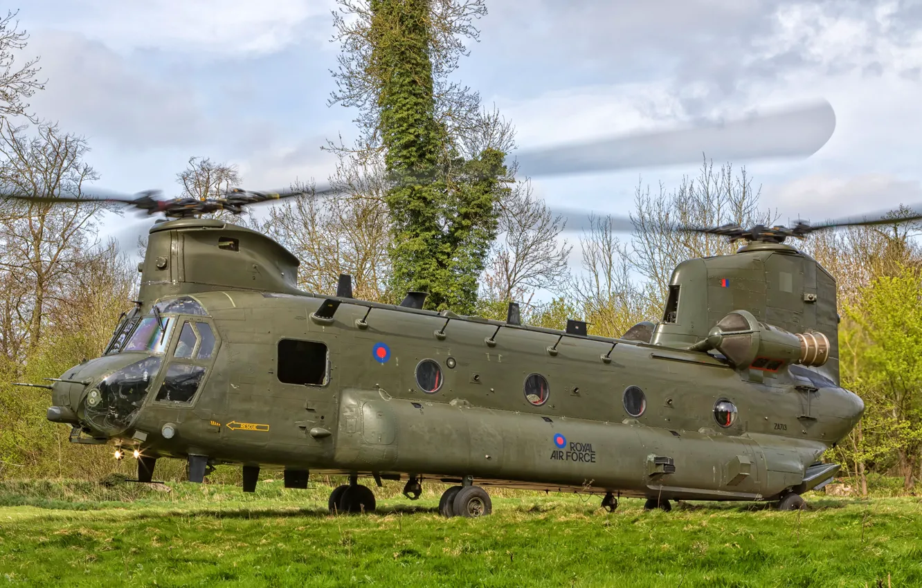 Фото обои трава, деревья, поляна, Boeing, вертолёт, Vertol CH-47 HC.4 Chinook ZA713-14