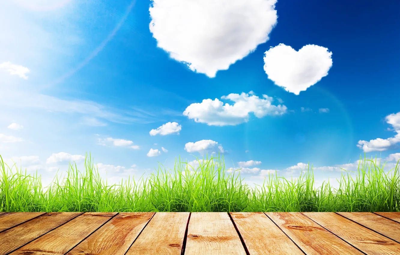 Фото обои зелень, лето, небо, трава, солнце, облака, доски, сердечки