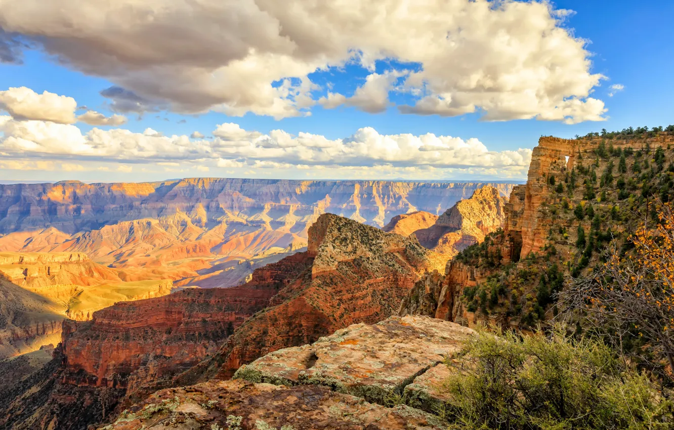 Фото обои Аризона, США, Arizona, Grand Canyon National Park, Coconino