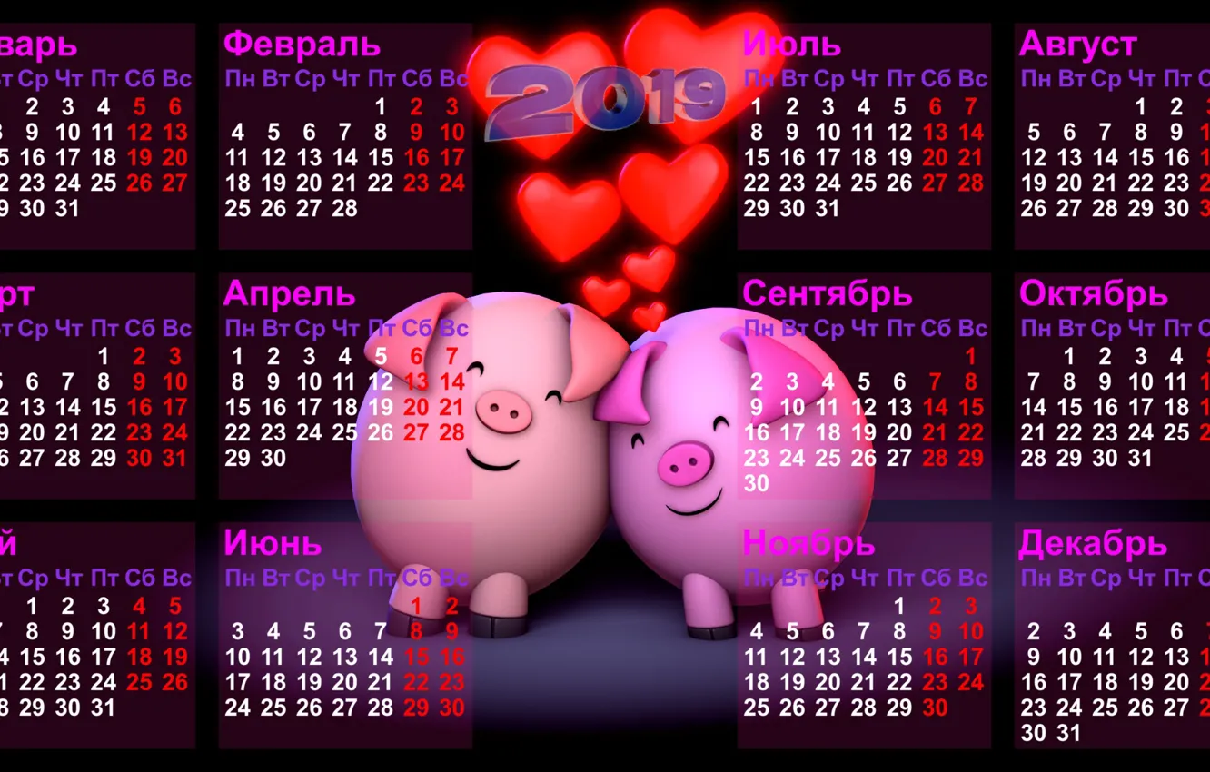 Фото обои черный фон, календарь, числа, дни, месяцы, недели, свинки, 2019 год