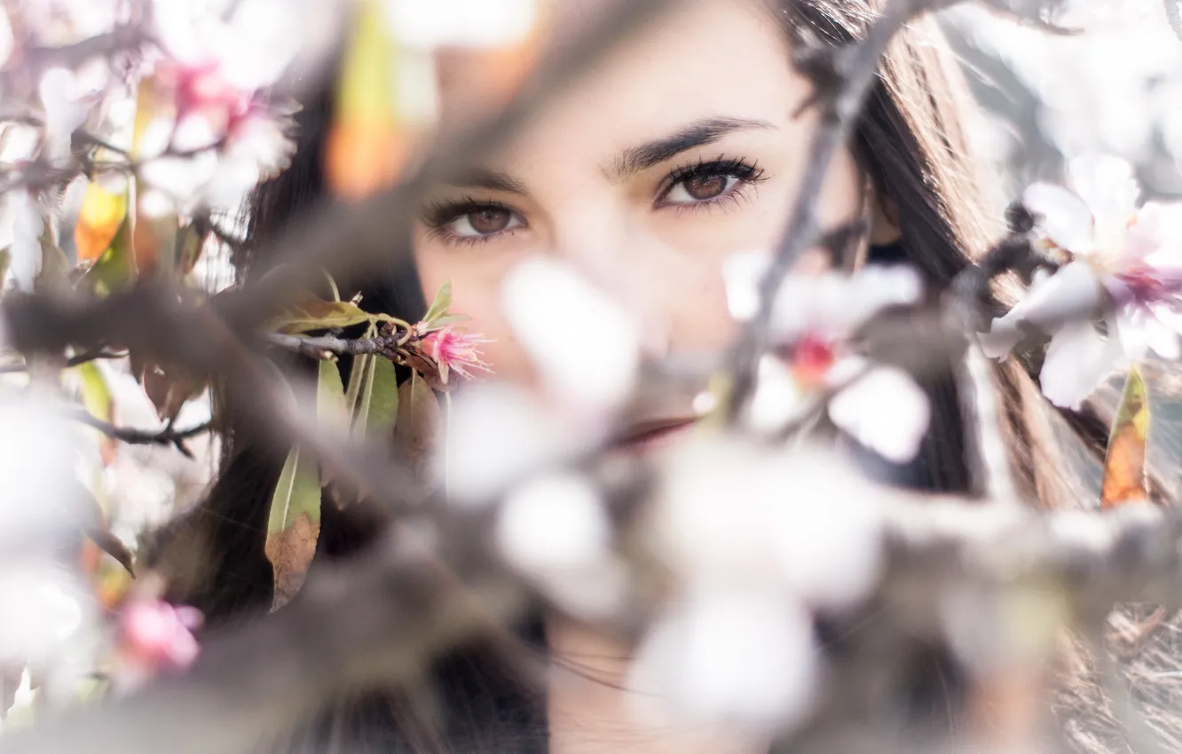 Фото обои глаза, взгляд, цветы, дерево, ветви, Девушка