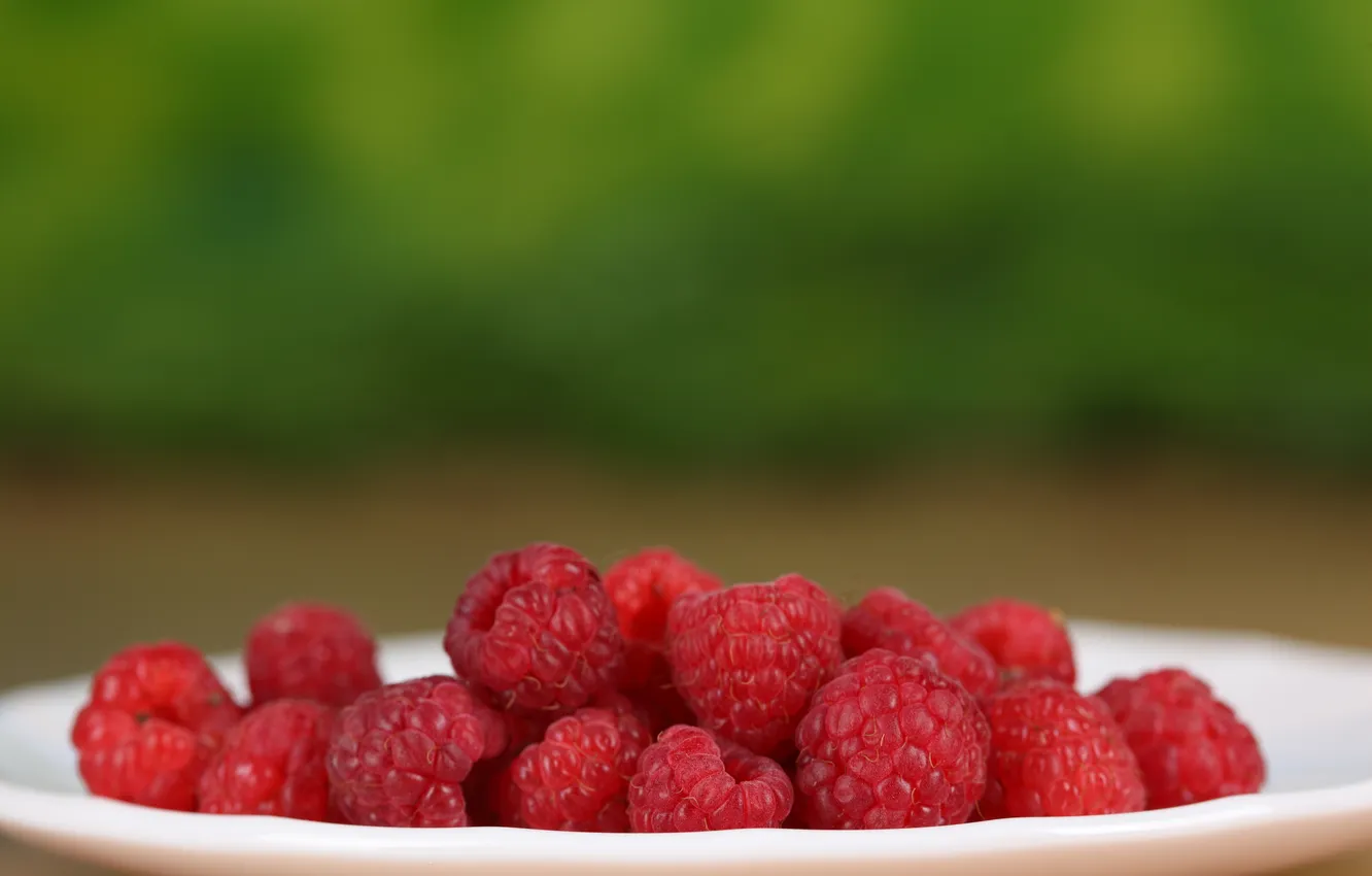 Фото обои ягоды, малина, тарелка, plate, berries, raspberries