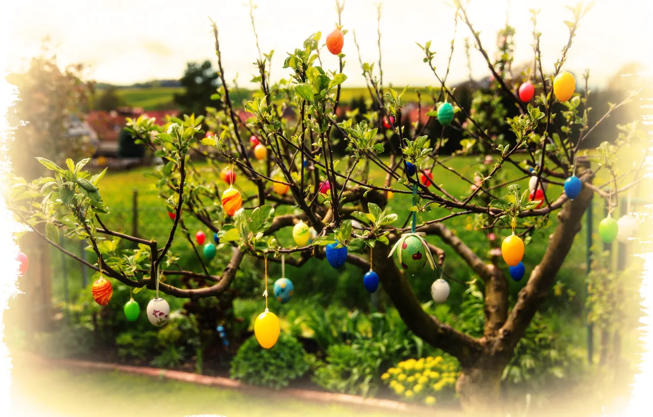 Фото обои листья, ветки, яйца, Пасха, Easter