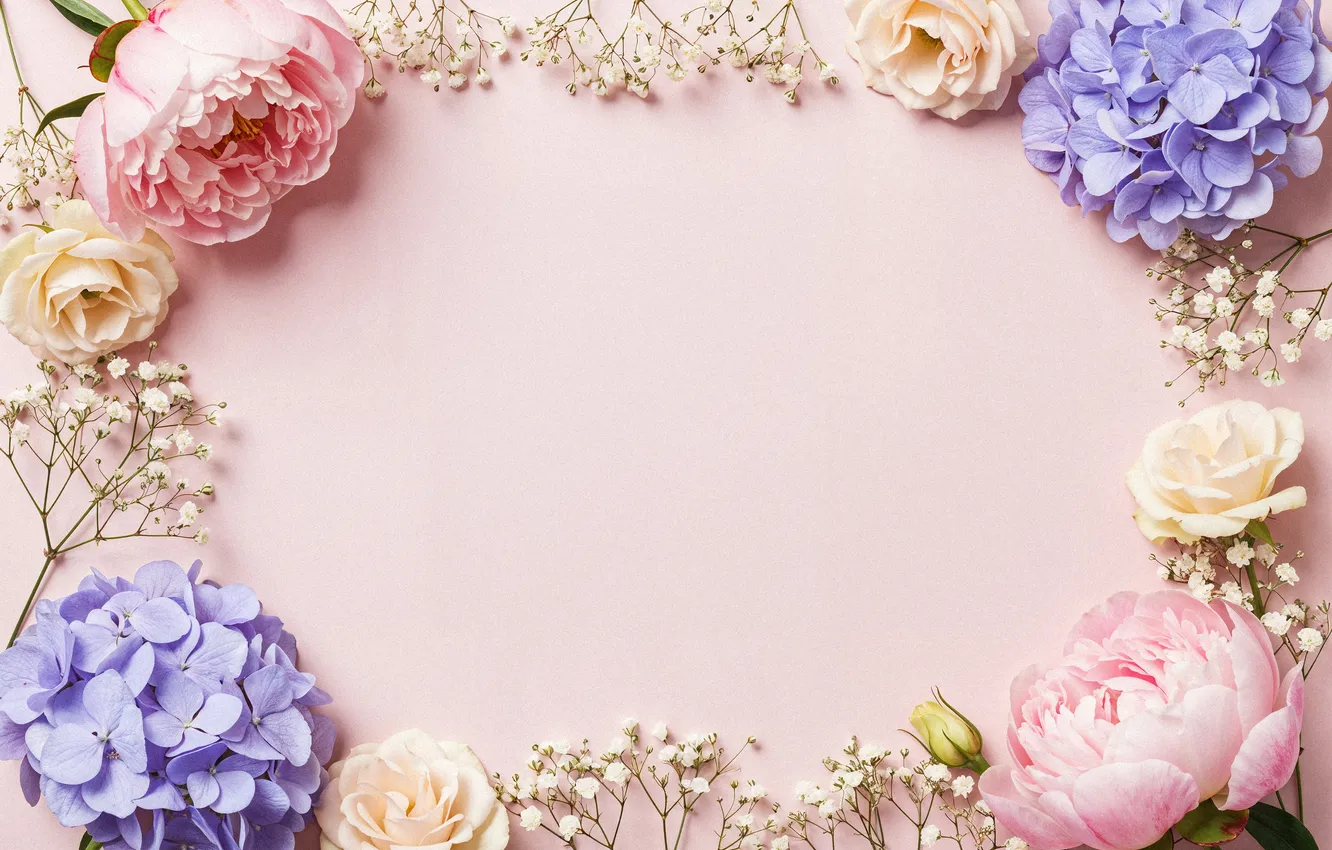 Фото обои цветы, рамка, colorful, pink, flowers, frame, floral