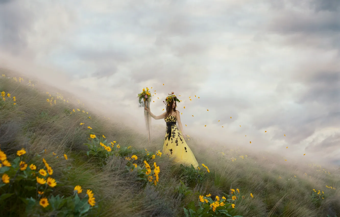 Фото обои девушка, цветы, туман, лепестки, платье