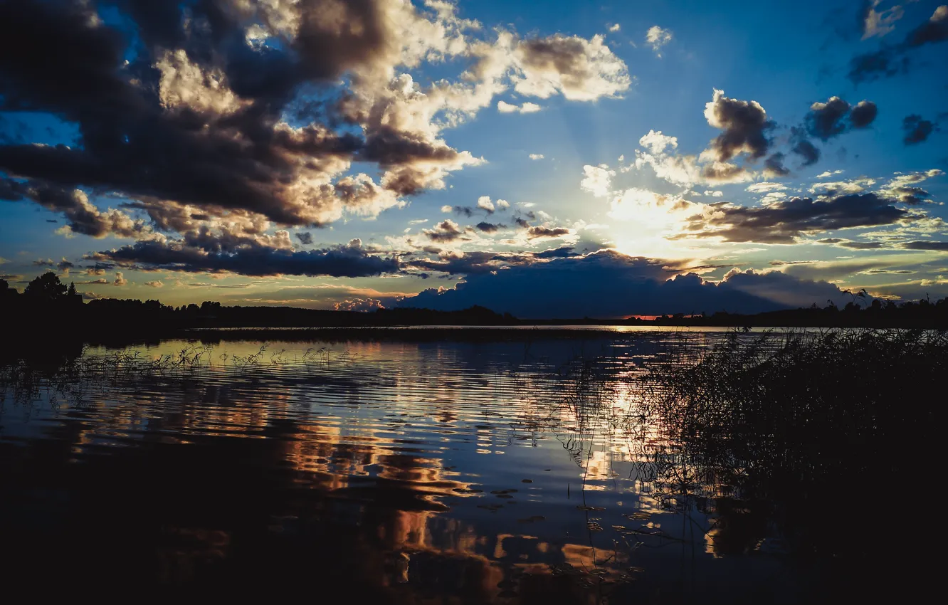 Фото обои волны, небо, вода, облака, закат, озеро, камыш