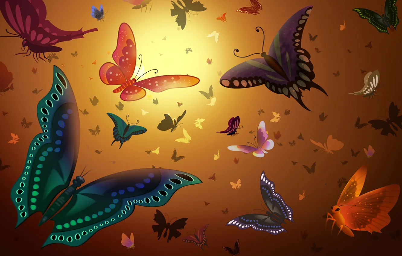 Фото обои бабочки, крылья, разноцветные, летят