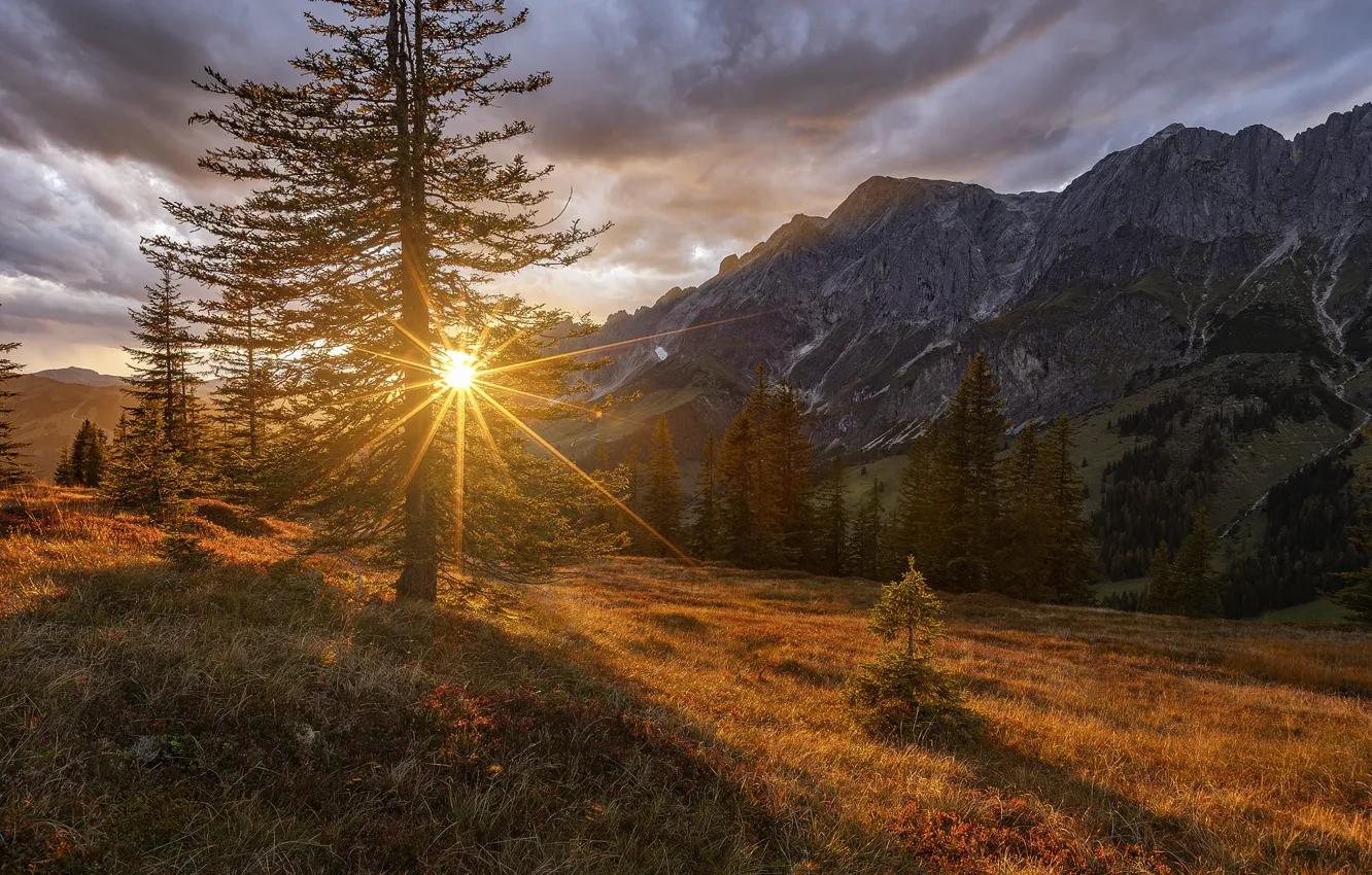 Фото обои солнце, деревья, горы, Австрия, Austria, Хохкениг, Hоchkоnig