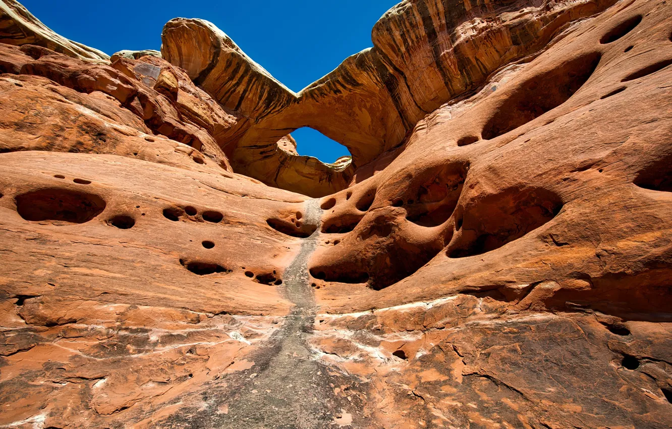 Фото обои солнце, камни, скалы, Юта, США, порода, Canyonlands National Park, Каньонлендс