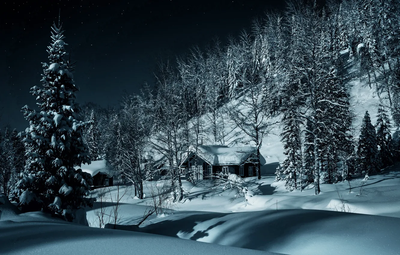 Фото обои зима, лес, снег, деревья, деревня, сугробы, домики, Россия