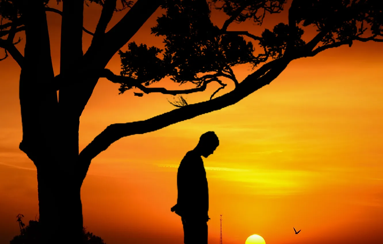 Фото обои sky, sunset, clouds, man, silhouette of tree