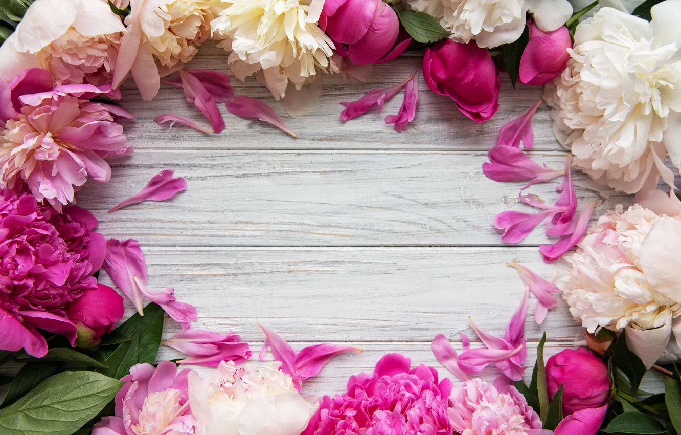 Фото обои цветы, розовые, wood, pink, flowers, пионы, peonies