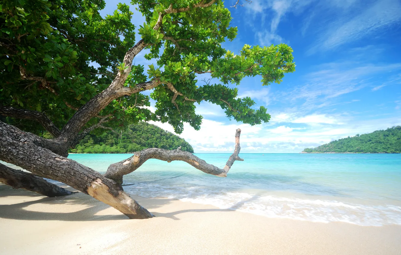 Фото обои песок, море, волны, пляж, лето, небо, деревья, берег