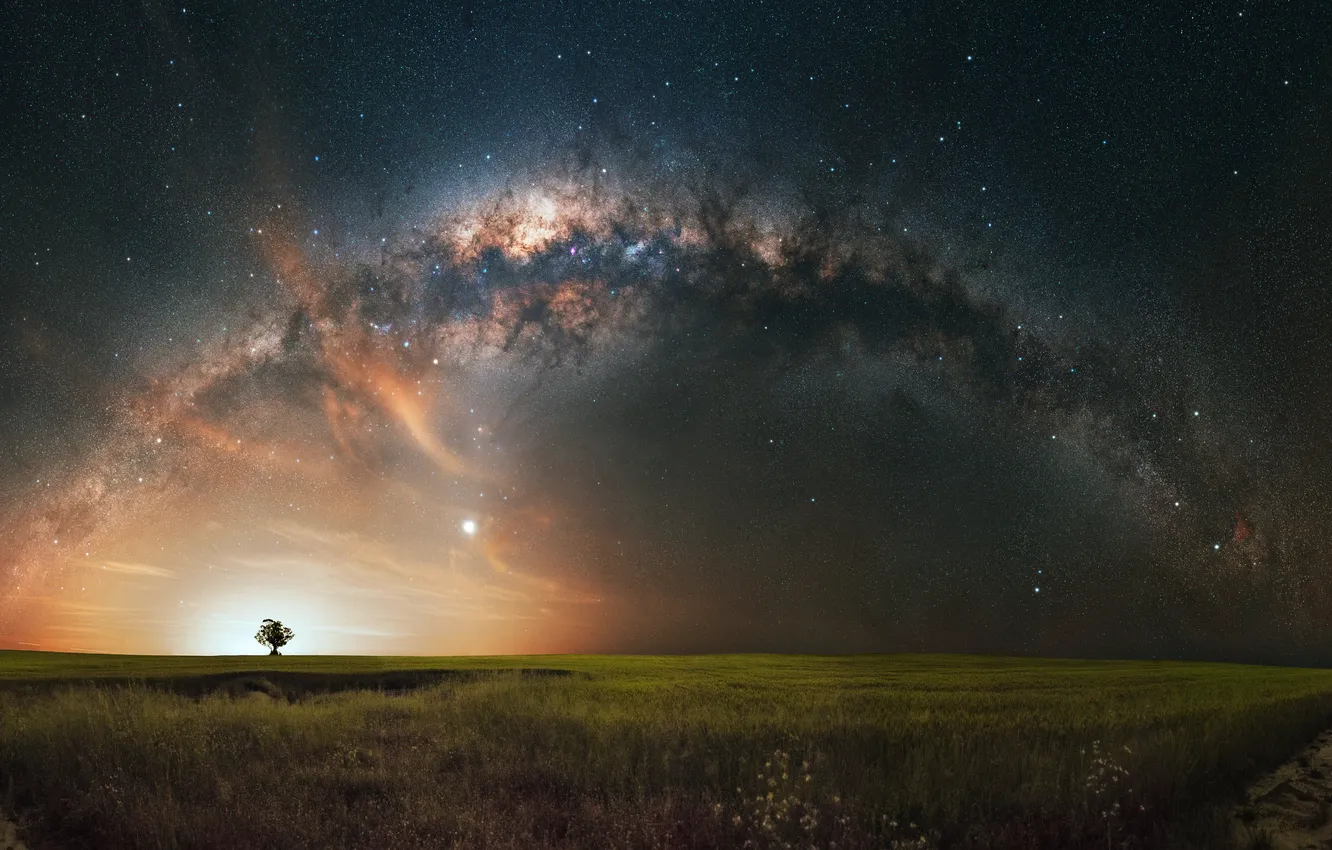 Фото обои space, grass, sky, trees, field, landscape, nature, night