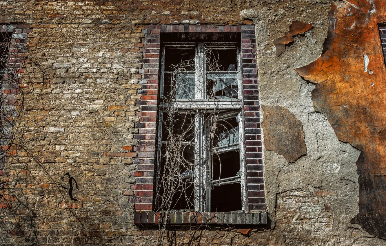 Фото обои стены, окна, кирпич, старый, фасад, разбитые стёкла