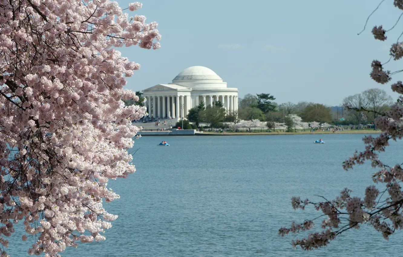 Фото обои ветки, природа, озеро, весна, Вашингтон, USA, цветение, nature