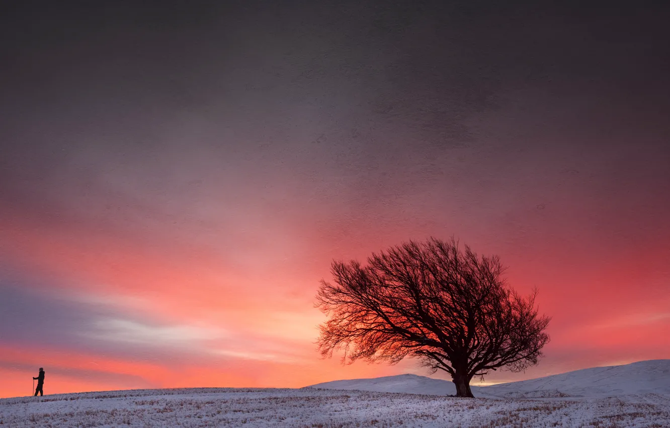 Фото обои закат, дерево, человек, гора