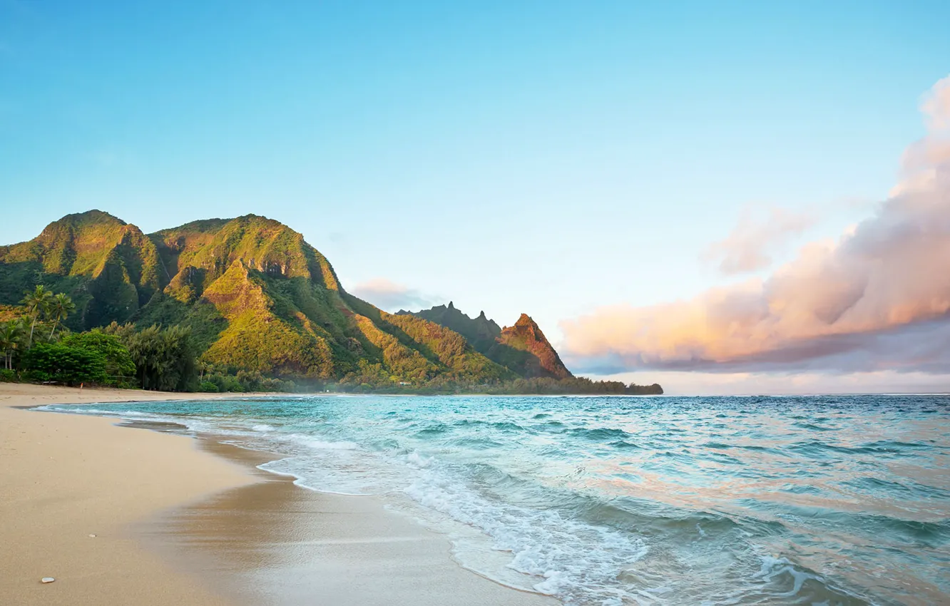 Фото обои море, пляж, скала, Гавайи