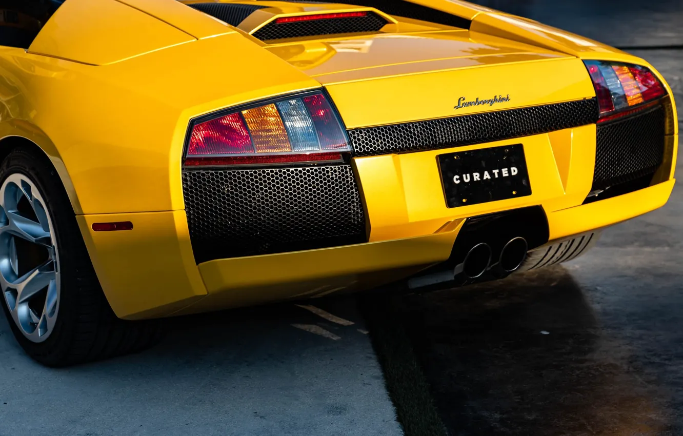 Фото обои Lamborghini, Murcielago, lambo, rear view, Lamborghini Murcielago Roadster