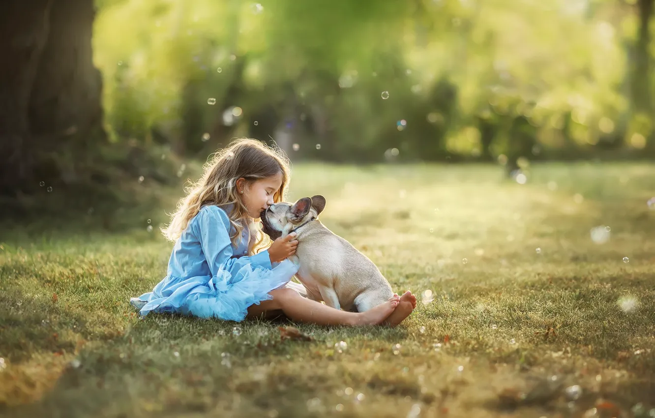 Фото обои лето, природа, поцелуй, собака, платье, девочка, лужайка, ребёнок