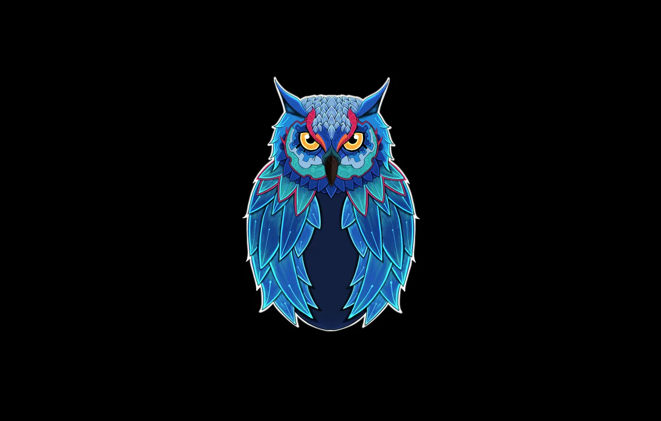 Фото обои Минимализм, Взгляд, Сова, Птица, Стиль, Style, Owl, Bird