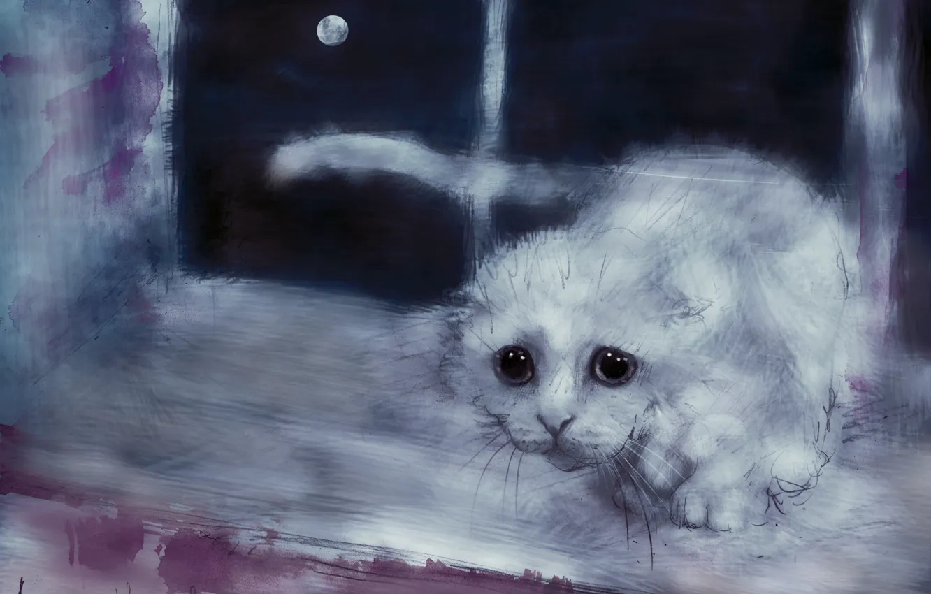 Фото обои кошка, взгляд, луна, рисунок, окно, арт, белая, подоконник