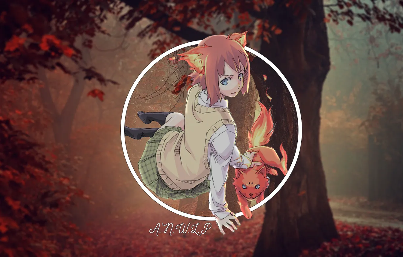 Фото обои лес, кот, девушка, аниме, madskillz, огноль