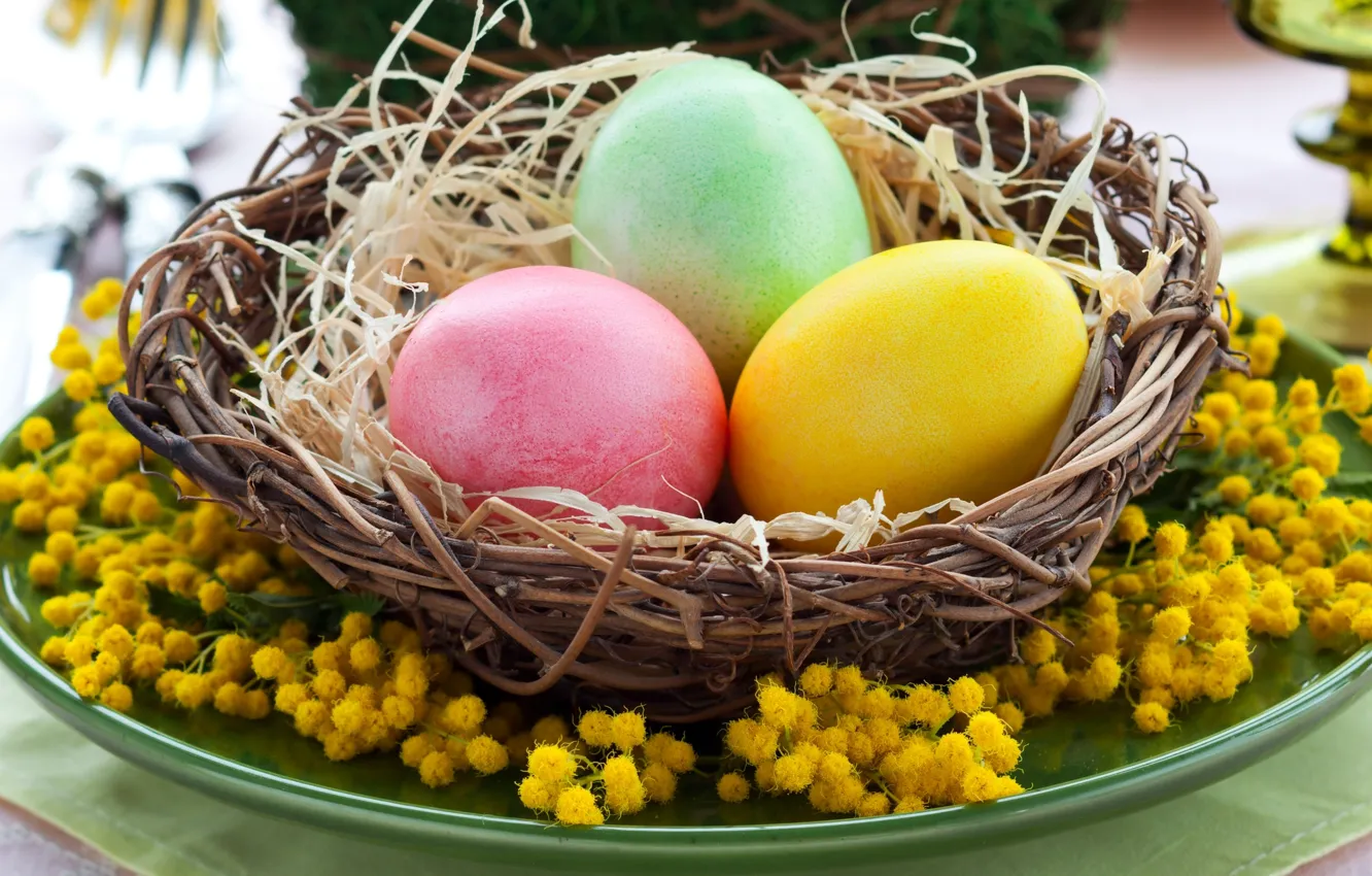Фото обои цветы, праздник, яйца, Пасха, гнездо, жёлтая, yellow, flowers