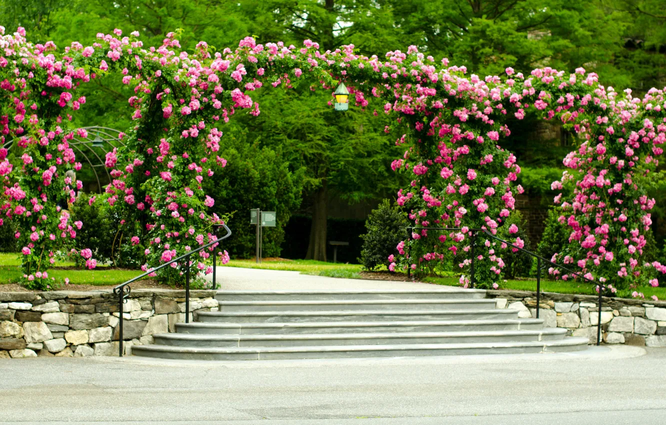 Фото обои деревья, цветы, парк, газон, розы, лестница, дорожка, ступеньки