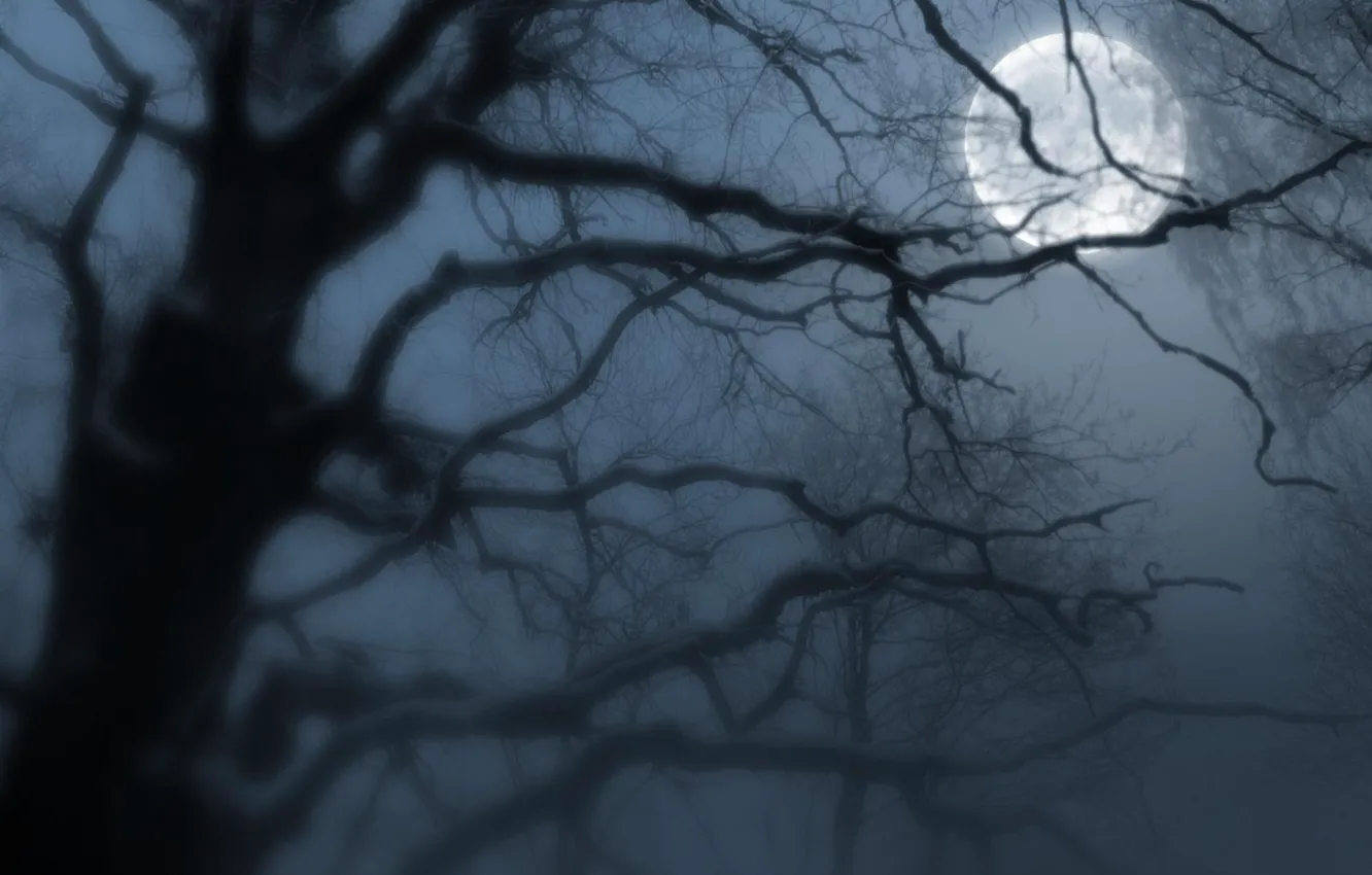 Фото обои ночь, туман, луна