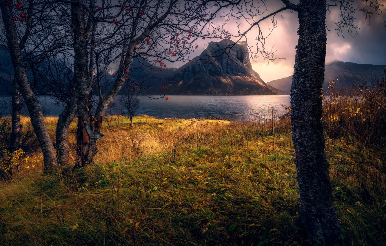 Фото обои осень, вода, деревья, пейзаж, горы, тучи, природа, Норвегия