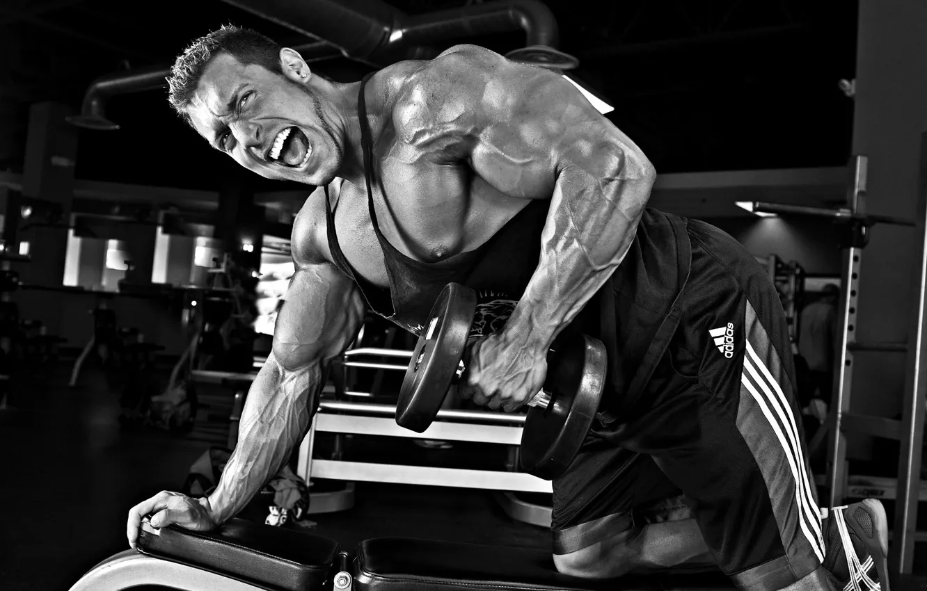 Фото обои поза, muscle, мышцы, бодибилдинг, тренировка, gym, бодибилдер, dumbbells