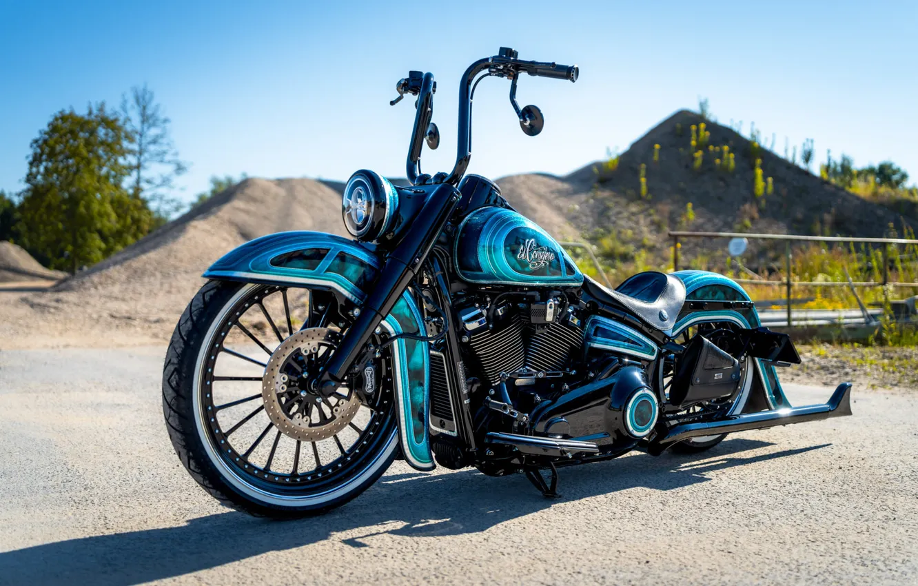 Фото обои Front, Harley-Davidson, Tuning, Softail, Heritage, Customized, Thunderbike, Custombikes