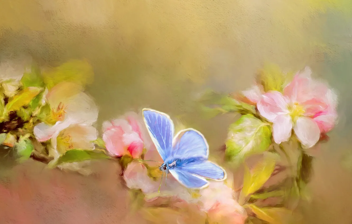 Фото обои макро, цветы, бабочка, обработка, ветка, весна, арт, розовые