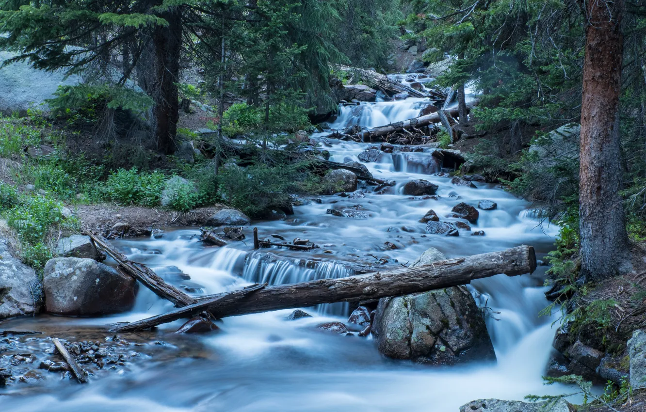 Фото обои лес, река, Колорадо, каскад