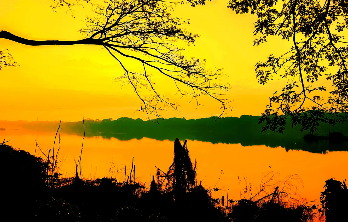 Фото обои Sky, Water, Sunset, Evening, Lake, Trees, Reflection, Plants