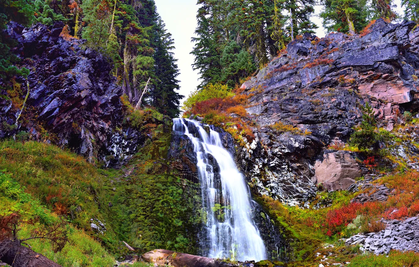 Фото обои лес, небо, река, скалы, водопад