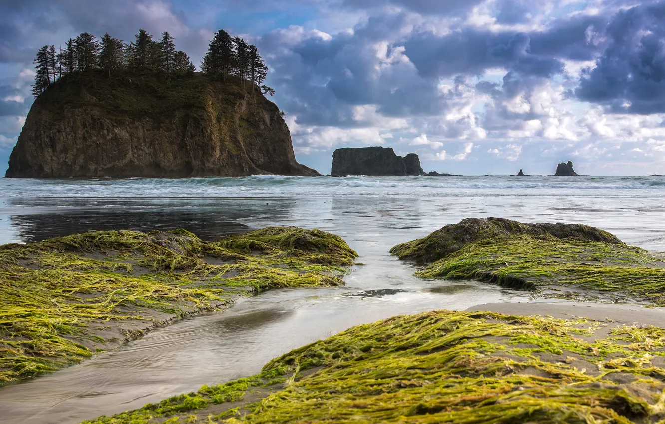 Фото обои скалы, побережье, Вашингтон, Washington, Тихий океан, Olympic National Park, Национальный парк Олимпик