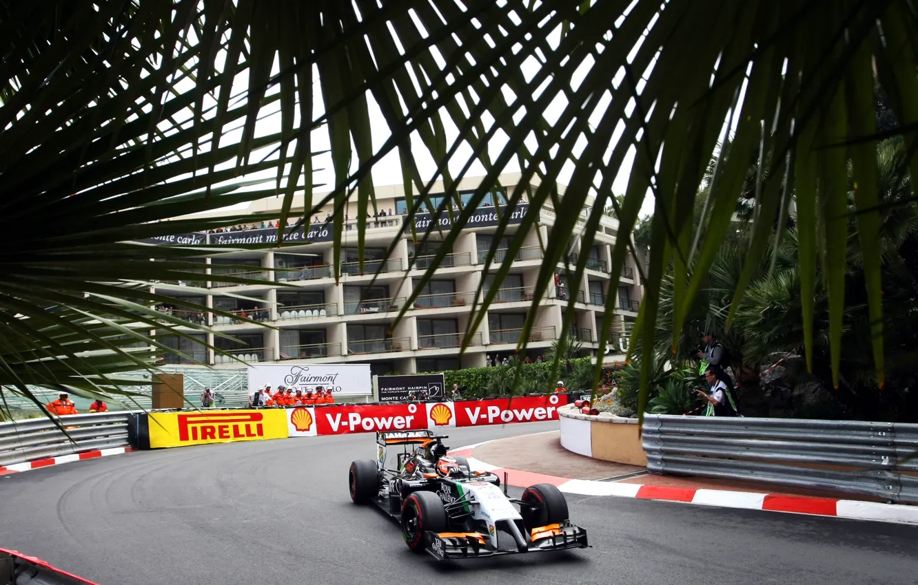 Фото обои пальма, гонки, формула 1, монако, автоспорт, маршалы
